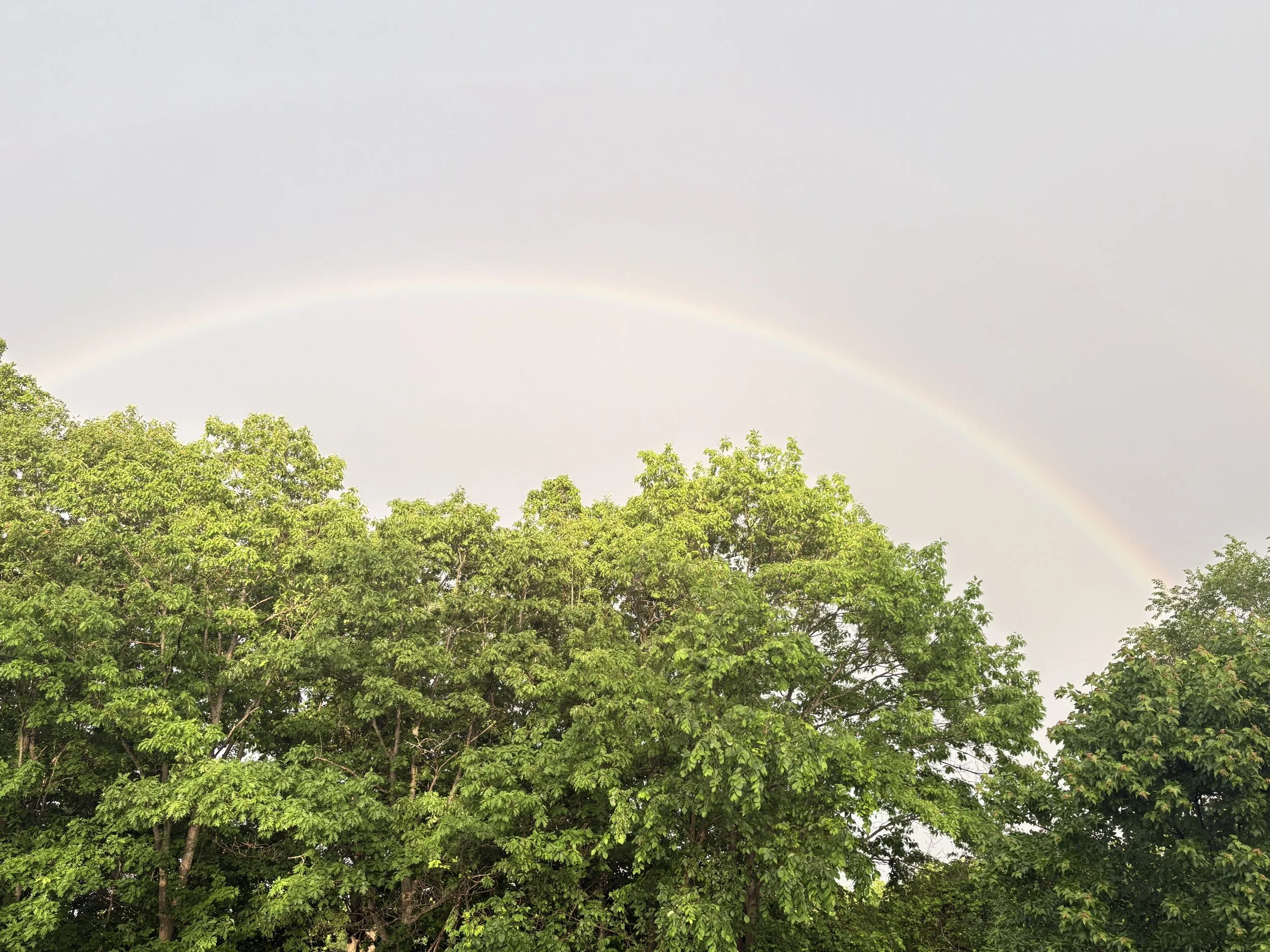 rainbow.jpg