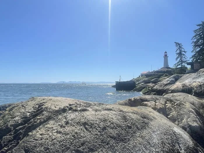 Large rocks bordering a sunny sea. Pine trees along the coast in background.