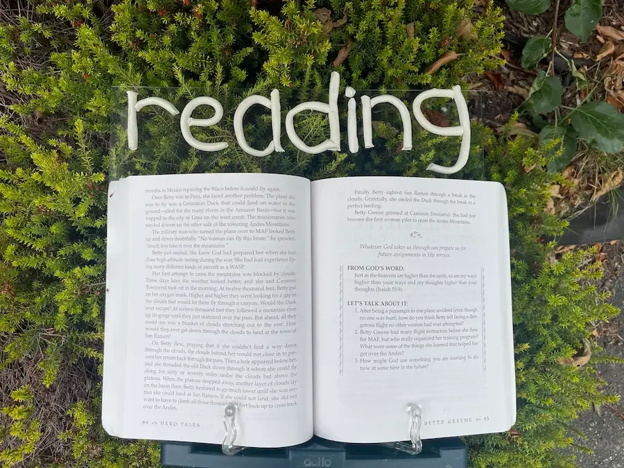 Open book placed on a bed of ferns, with the word 'reading' spelled out with white modeling clay above it.