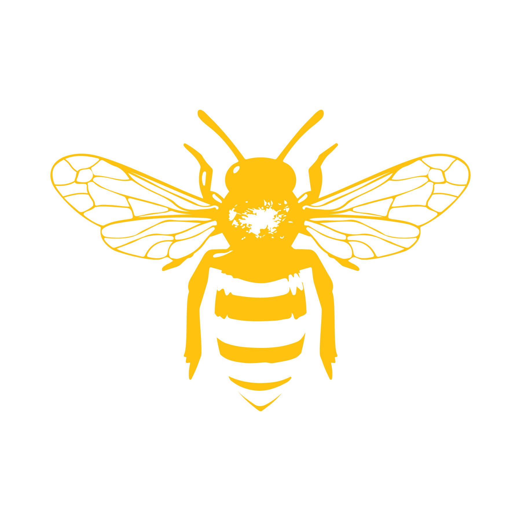 HH BEE 4.png