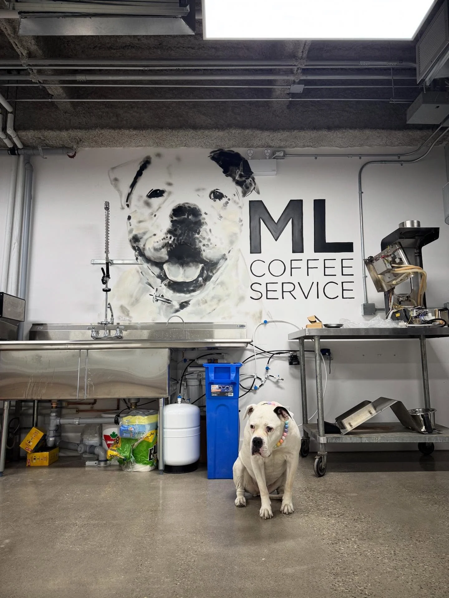 She&rsquo;s immortalized! Thanks so much to the very talented @scottanddestroy for the perfect mural of our beloved spokesdog in the office.