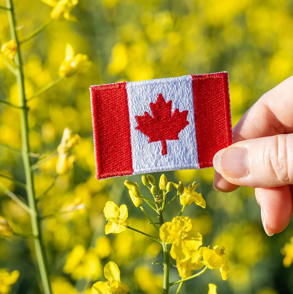 Wholesome Pet Treats Made in Canada