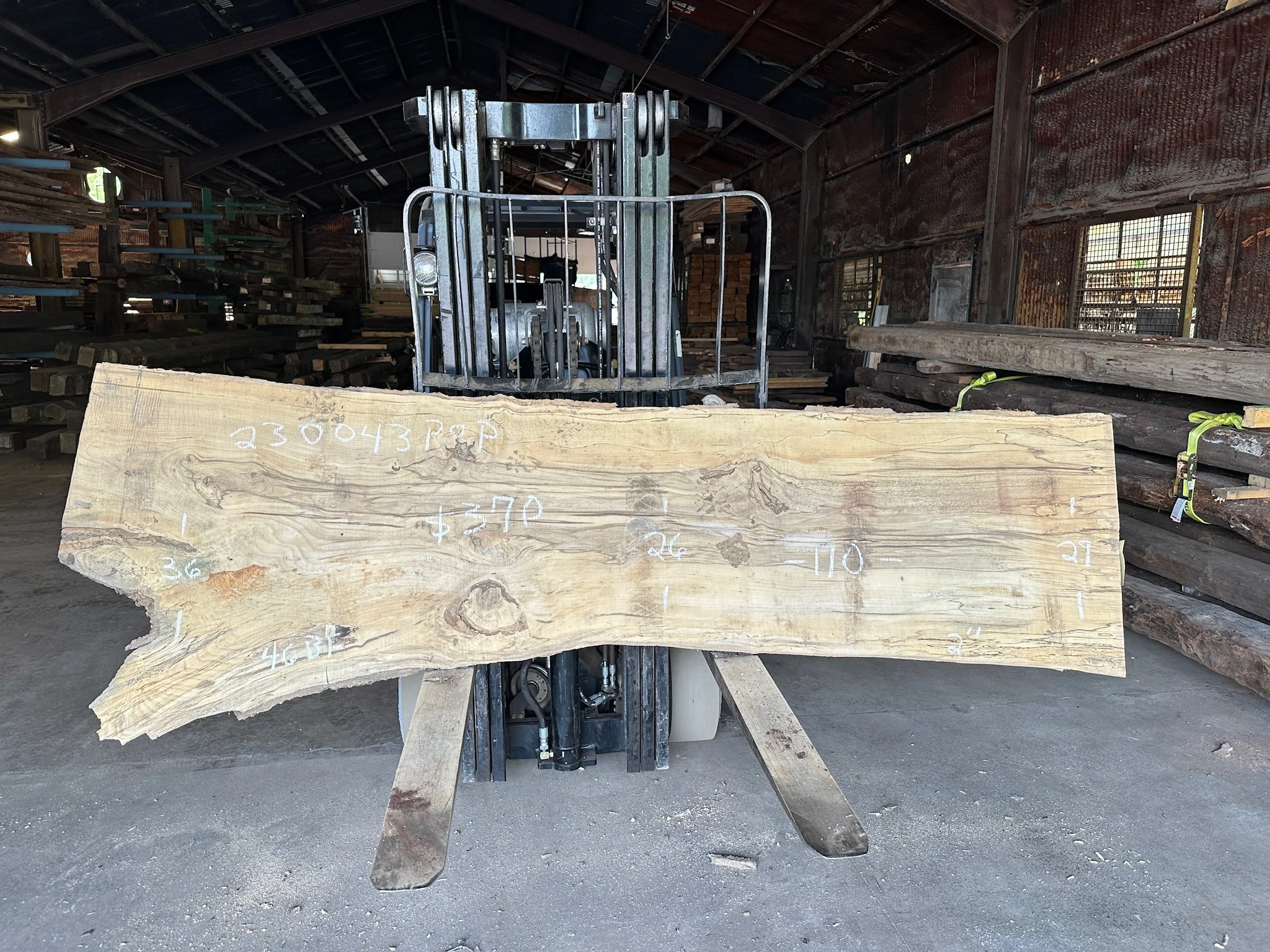 Poplar Slab
