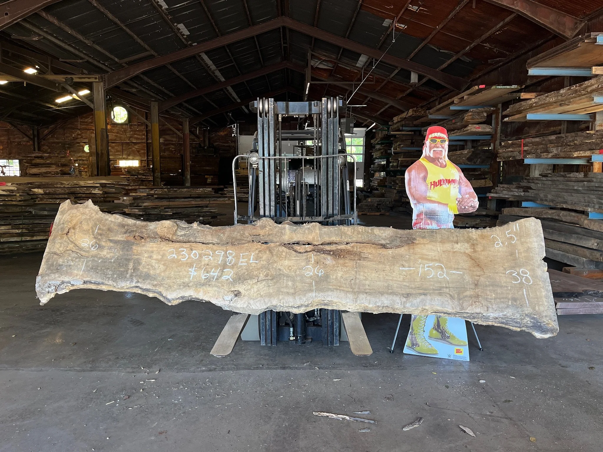 Elm Slab