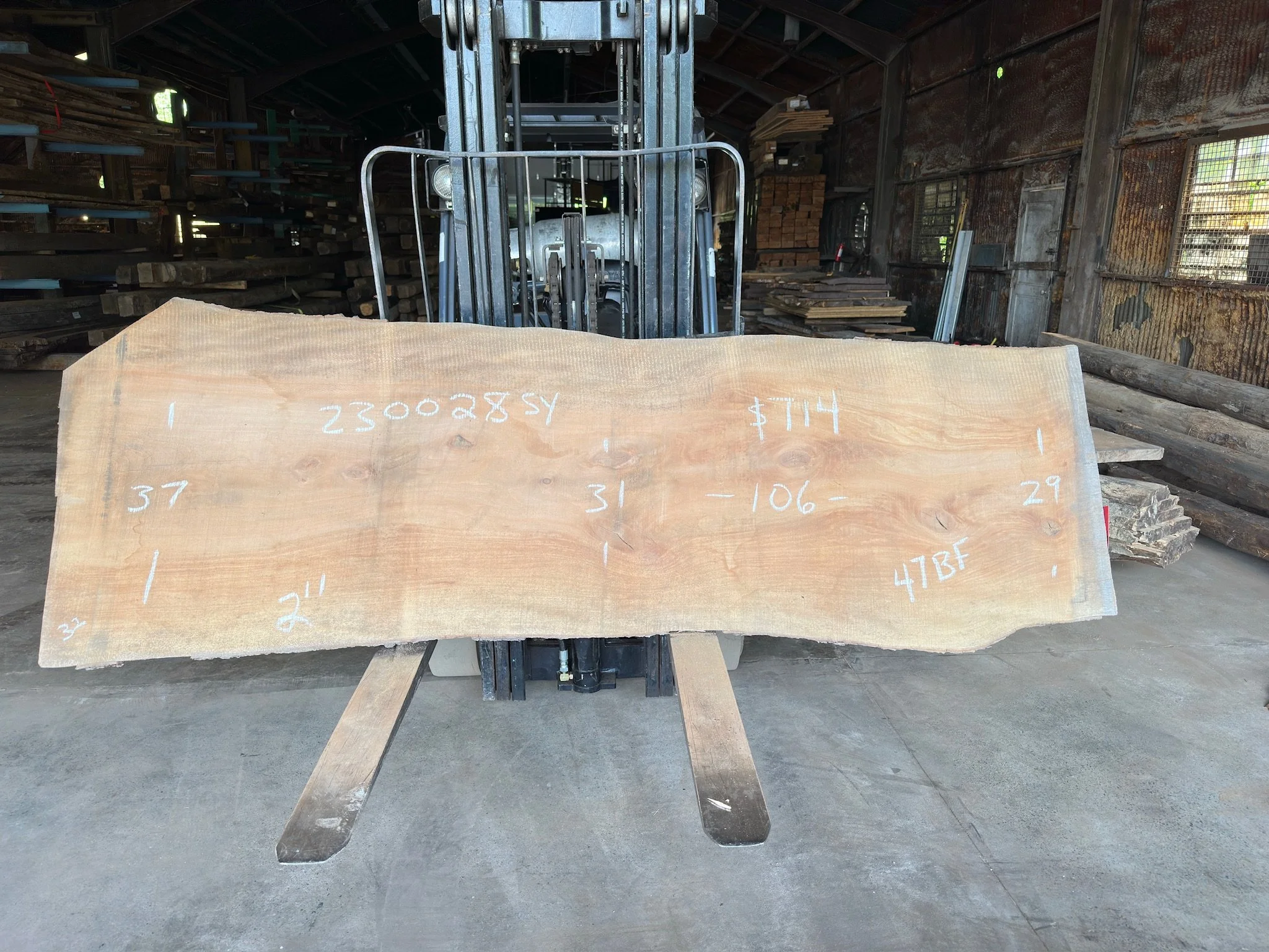 Sycamore Slab