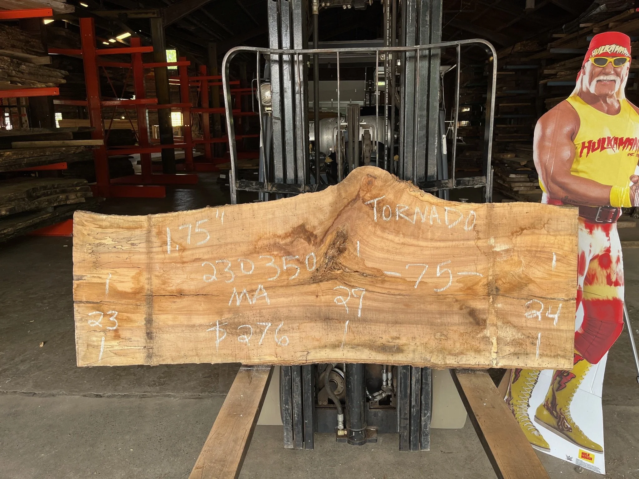 Maple Slab (Tornado)