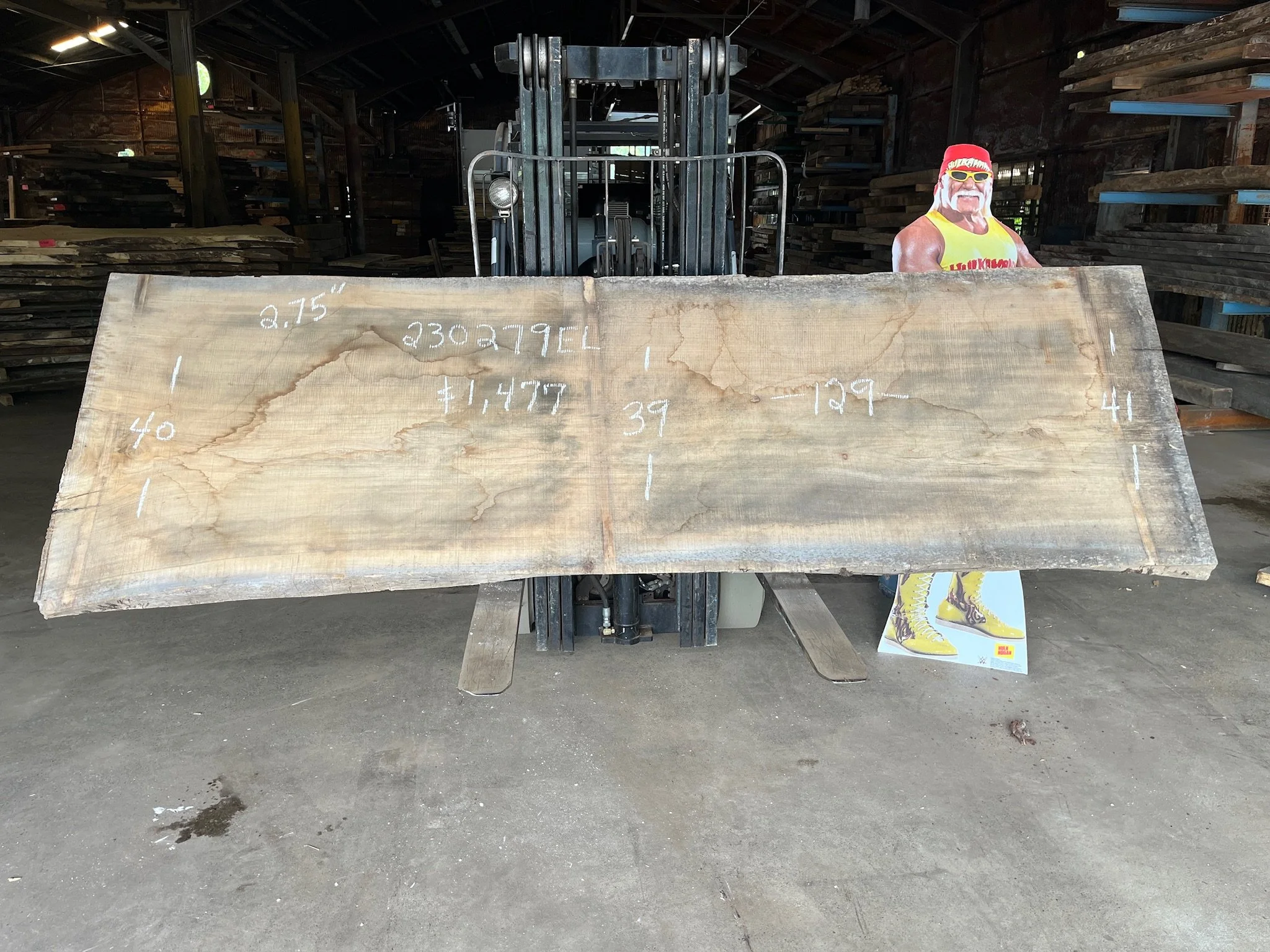 Elm Slab