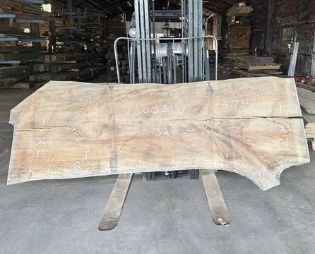 Sycamore Slab