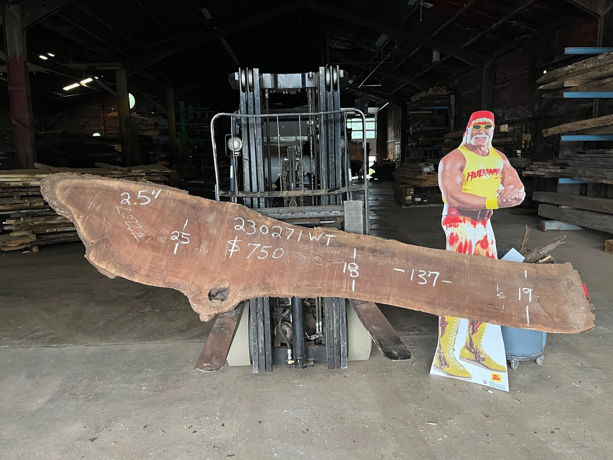 Walnut Slab