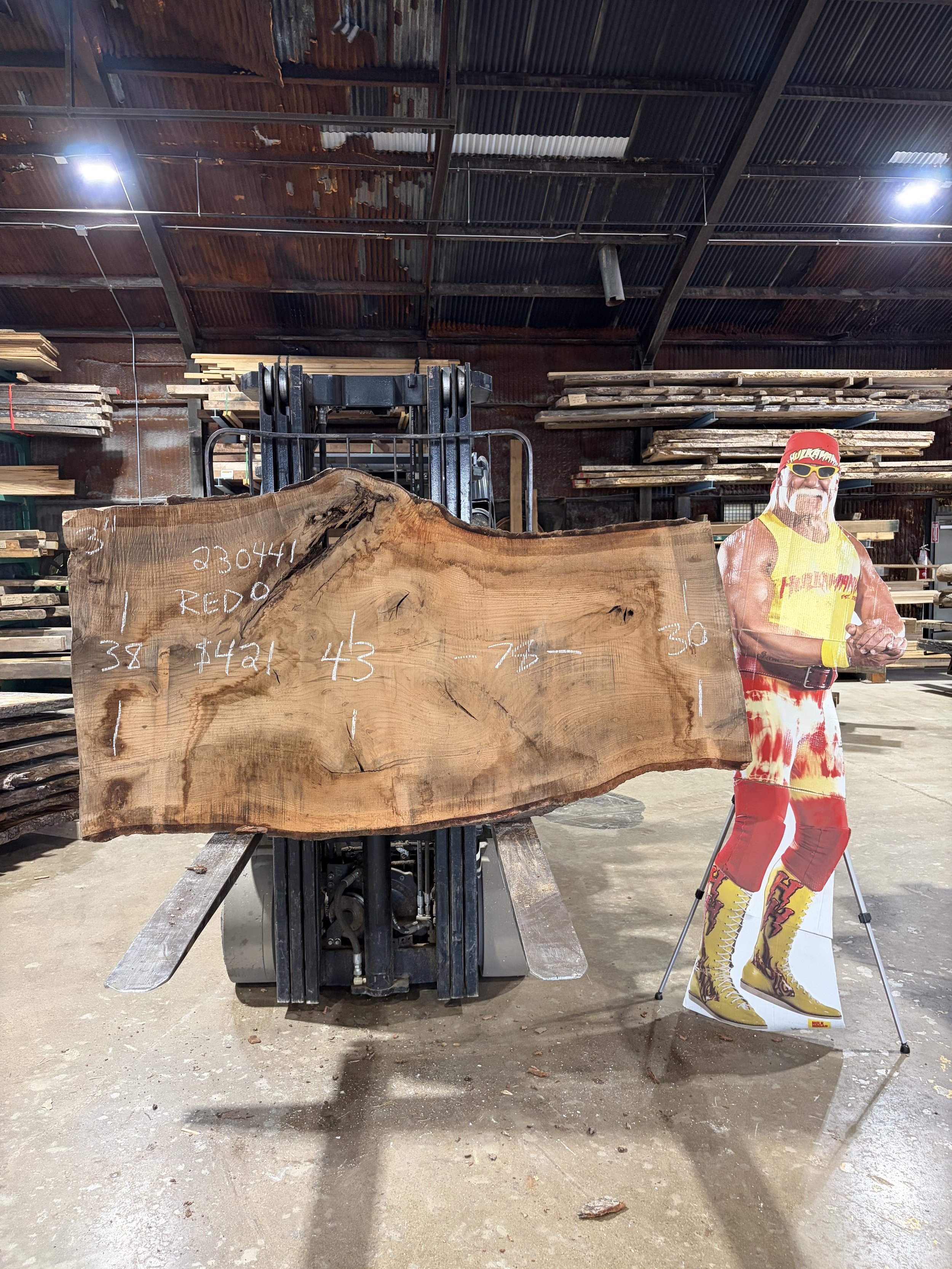 Red Oak 230441.jpg