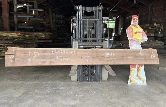 Walnut Slab