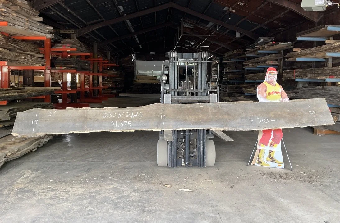 White Oak Slab