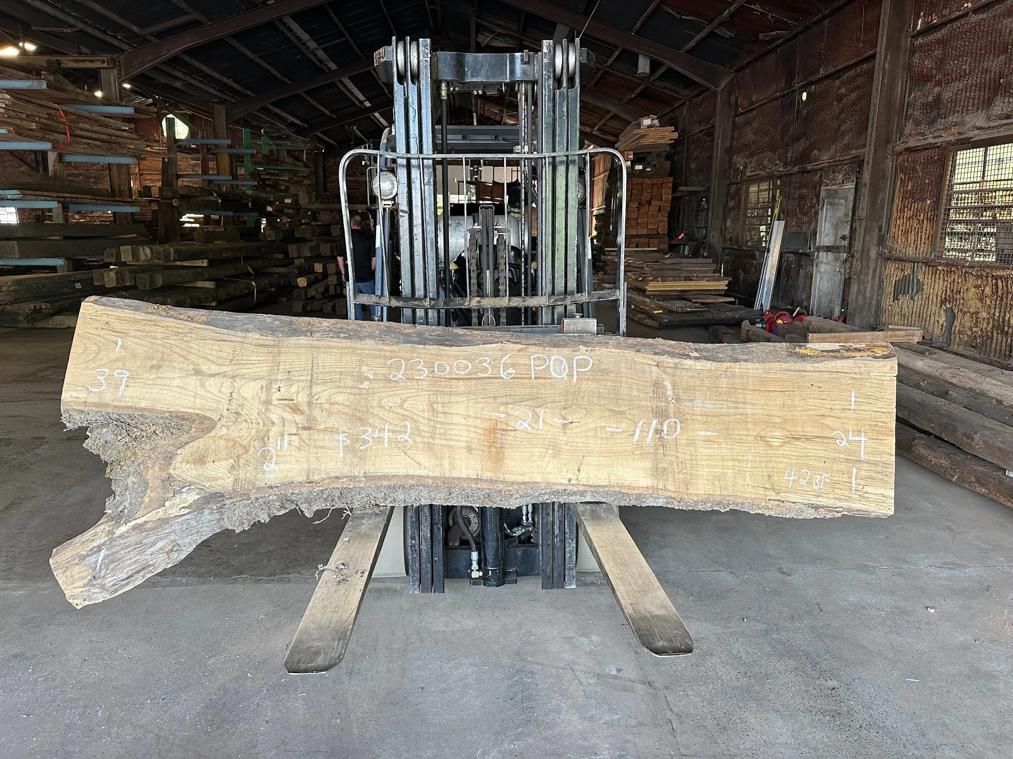 Poplar Slab