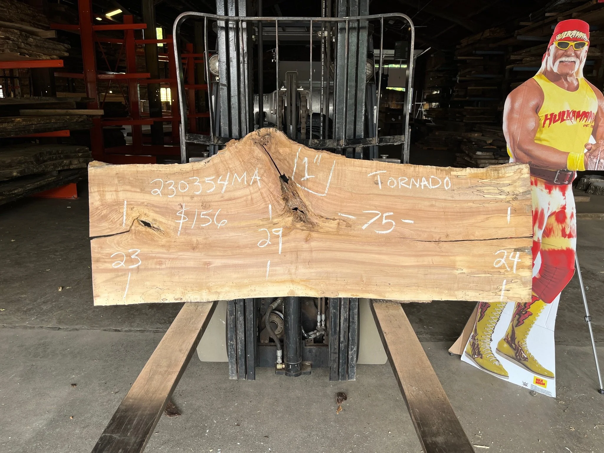 Maple Slab (Tornado)