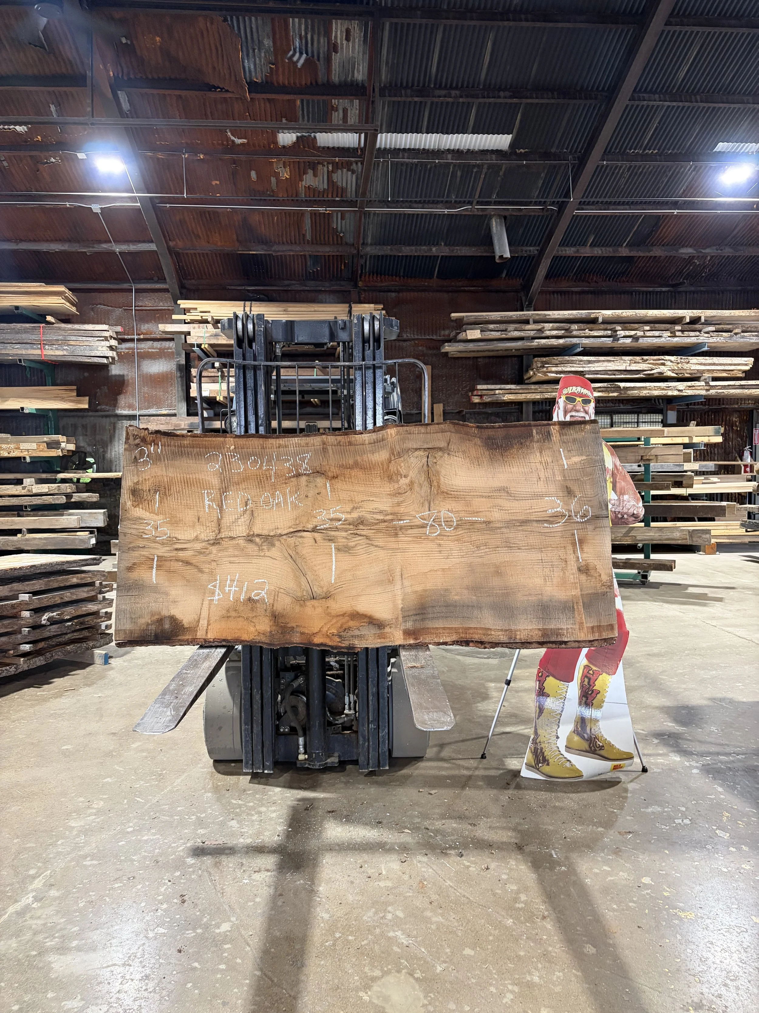 Red Oak 230438.jpg
