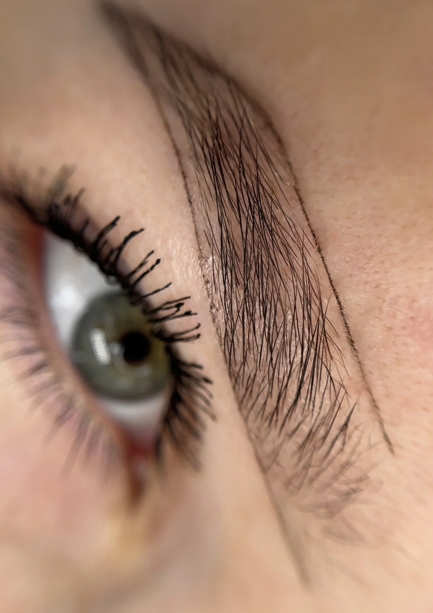 Close-up of a human eye with eyelashes and eyebrow visible.