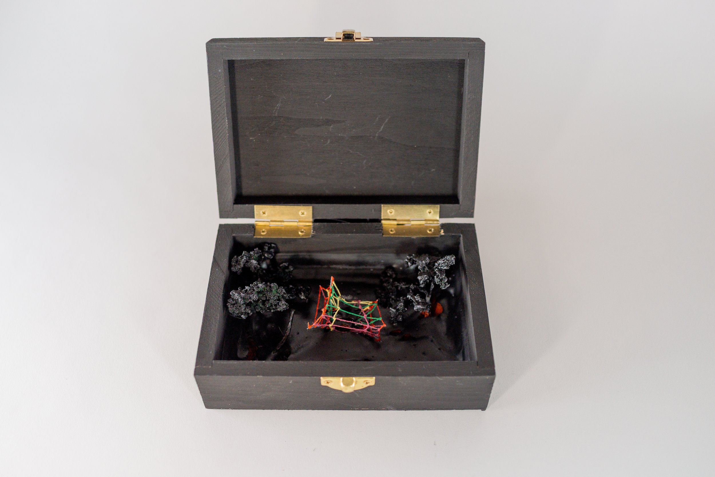 Large Treasures 1 • Embroidery floss, model tree, paint, wooden chest • 6 x 4 x 1 1/4 in • 2022