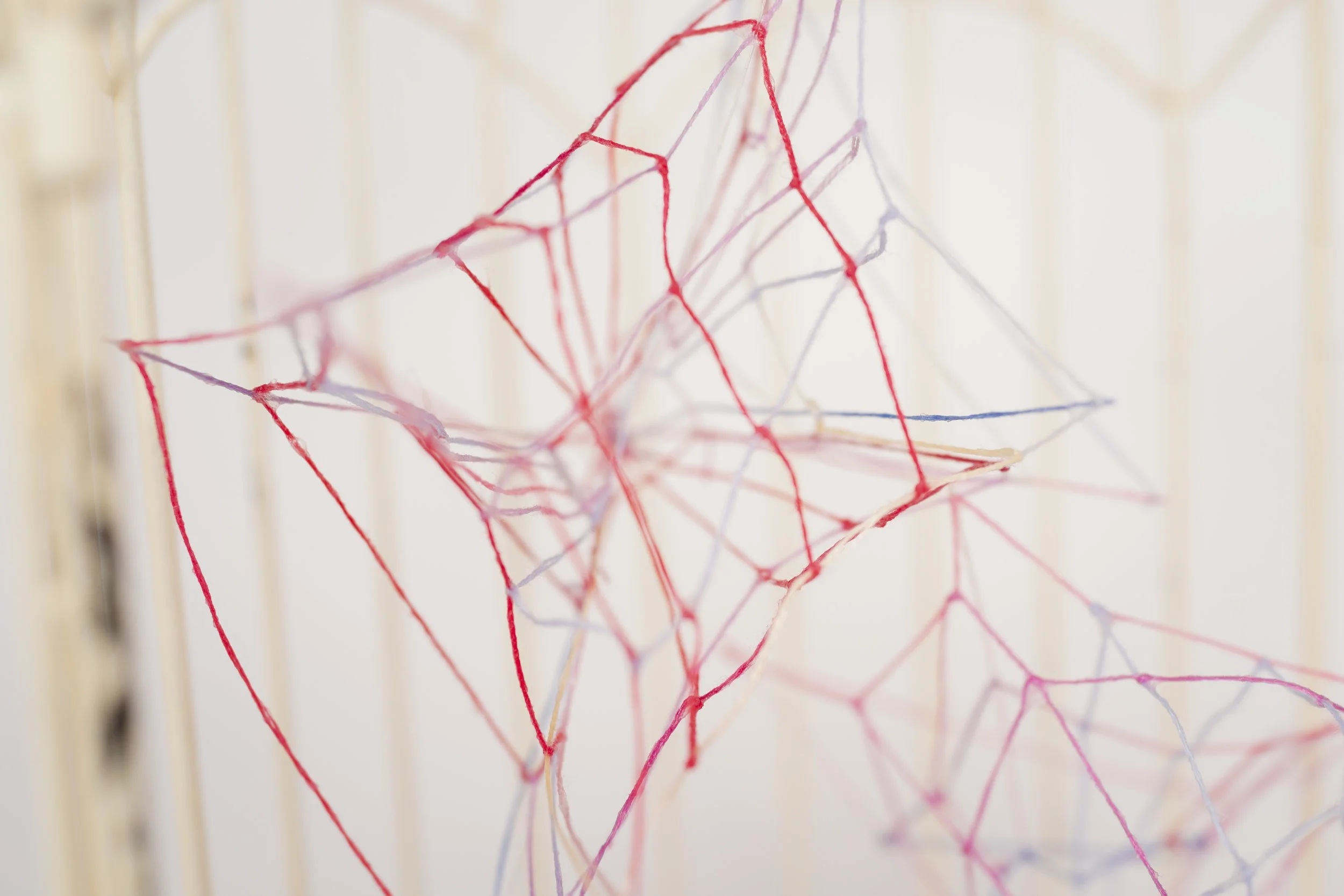 Caged No. 1 • Embroidery floss, clear cord, metal bird cage • 6 x 5 x 10.5 in • 2021