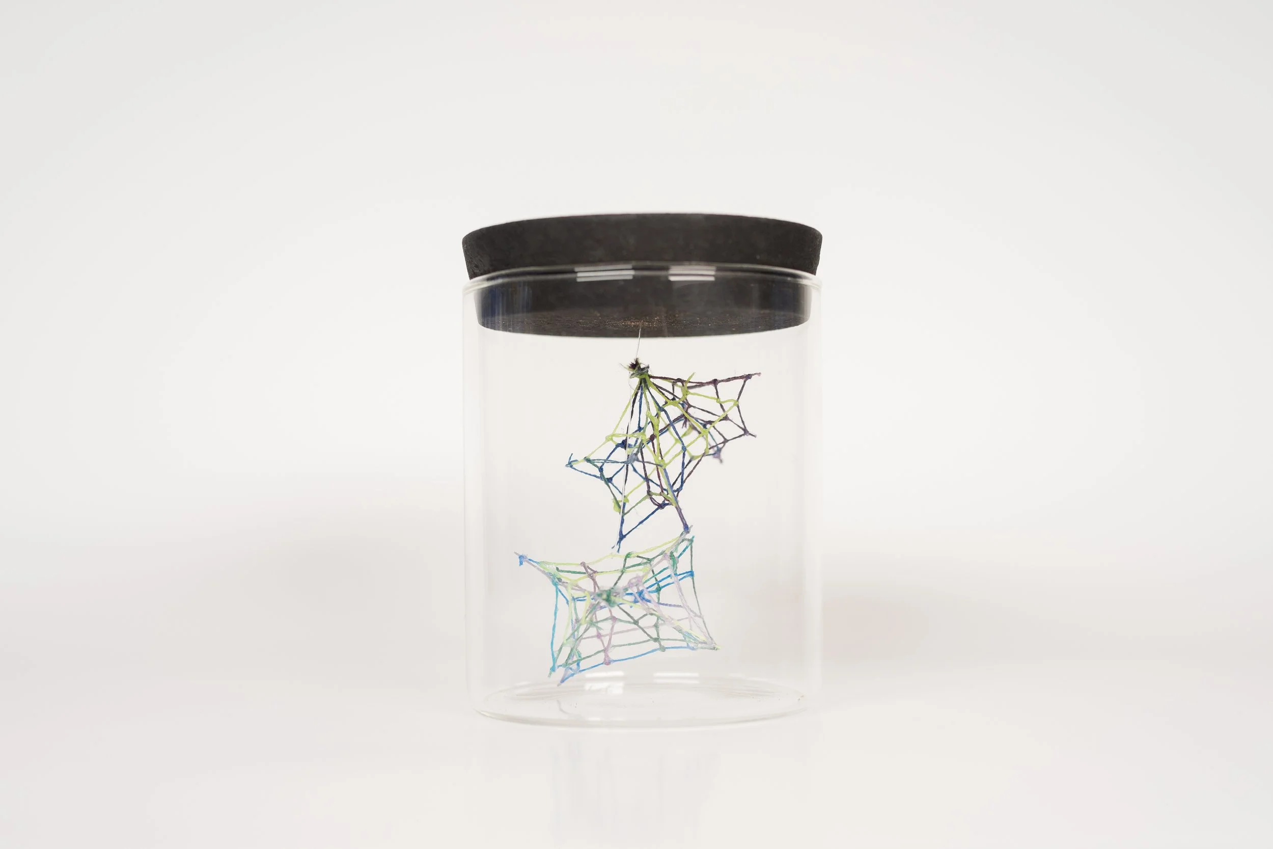 Specimen No. 2 • Embroidery floss, clear cord, corked glass jar • 3x 3 x 4.5 in • 2021