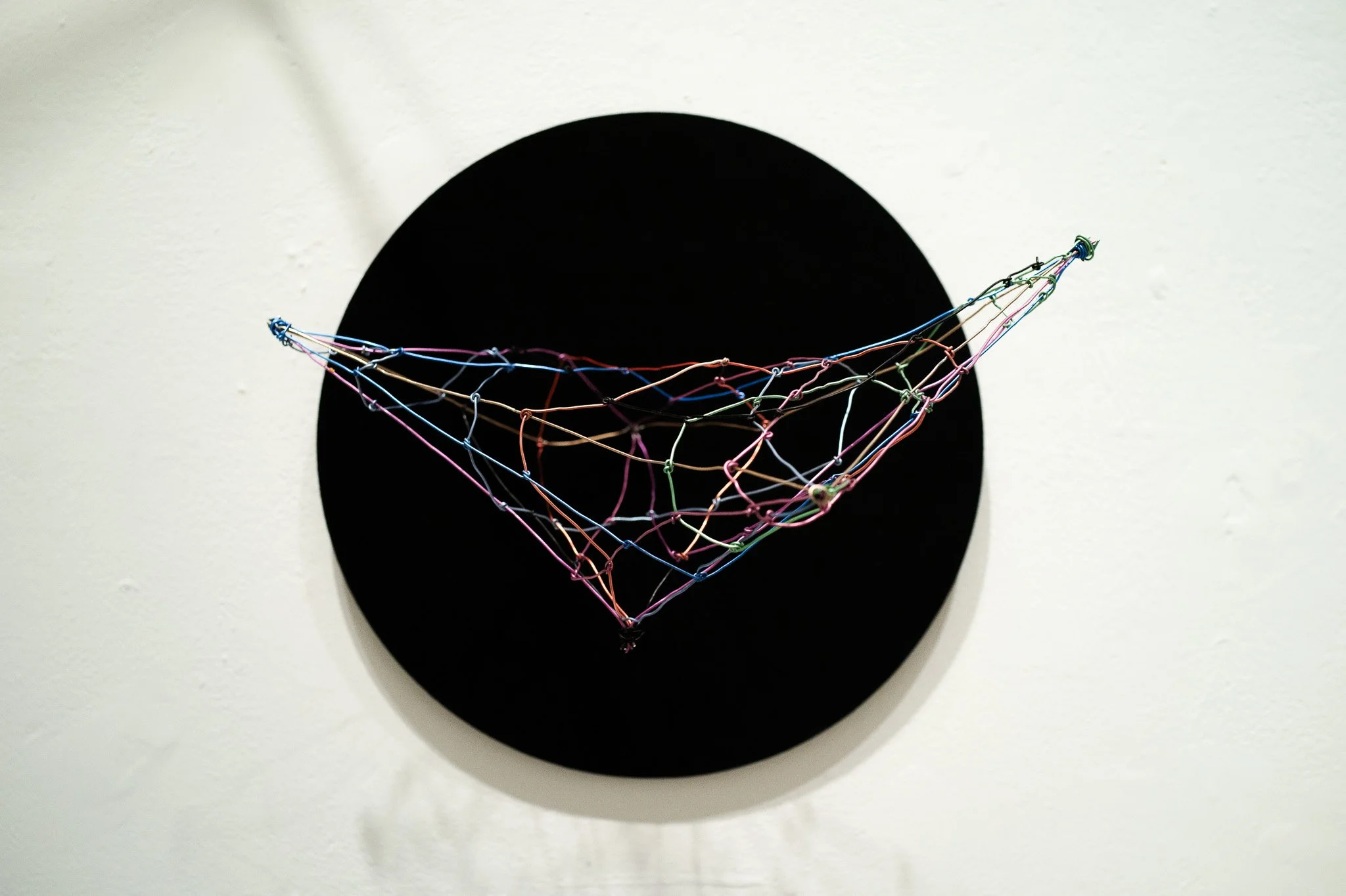 Pulp • Wire • 12 x 12 x 10 in • 2025