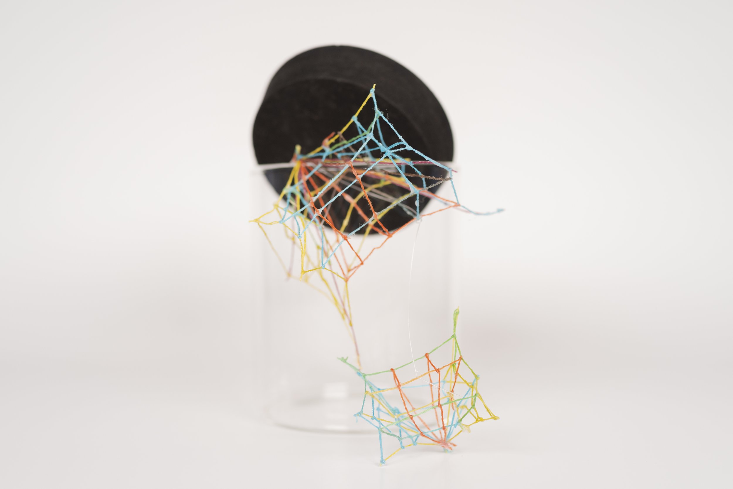 Specimen No. 3 • Embroidery floss, clear cord, corked glass jar • 5.5 x 4.5 x 6.5 in • 2021