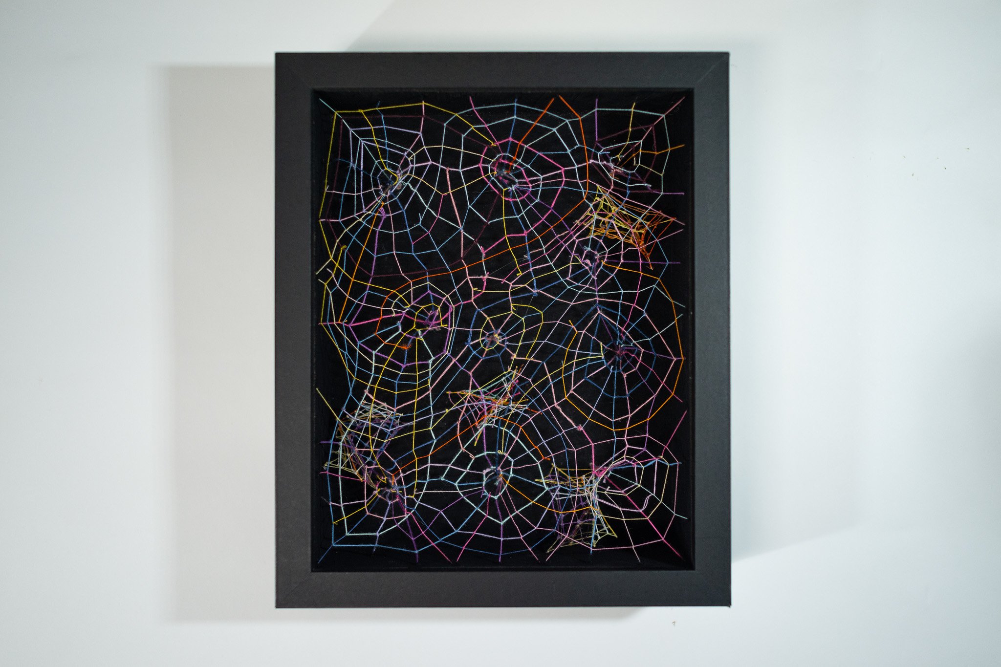 Canopy of Us • Embroidery floss, filament • 8 x 10 x 3 in. • 2024
