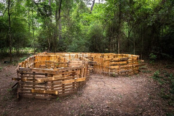 Into the Woods: DiverseWorks’ “A Gift from the Bower” at the Locke Surls Center for Art and Nature