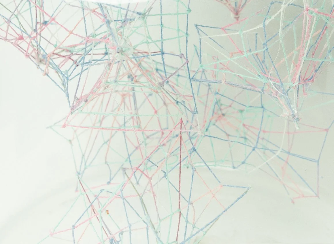 Specimens • Embroidery floss, clear cord, corked glass jar • 7 x 7 x 9 in • 2022