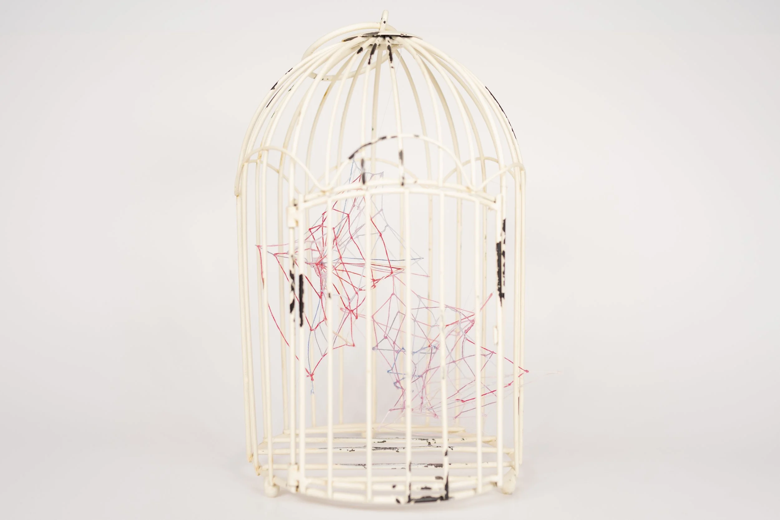 Caged No. 1 • Embroidery floss, clear cord, metal bird cage • 6 x 5 x 10.5 in • 2021