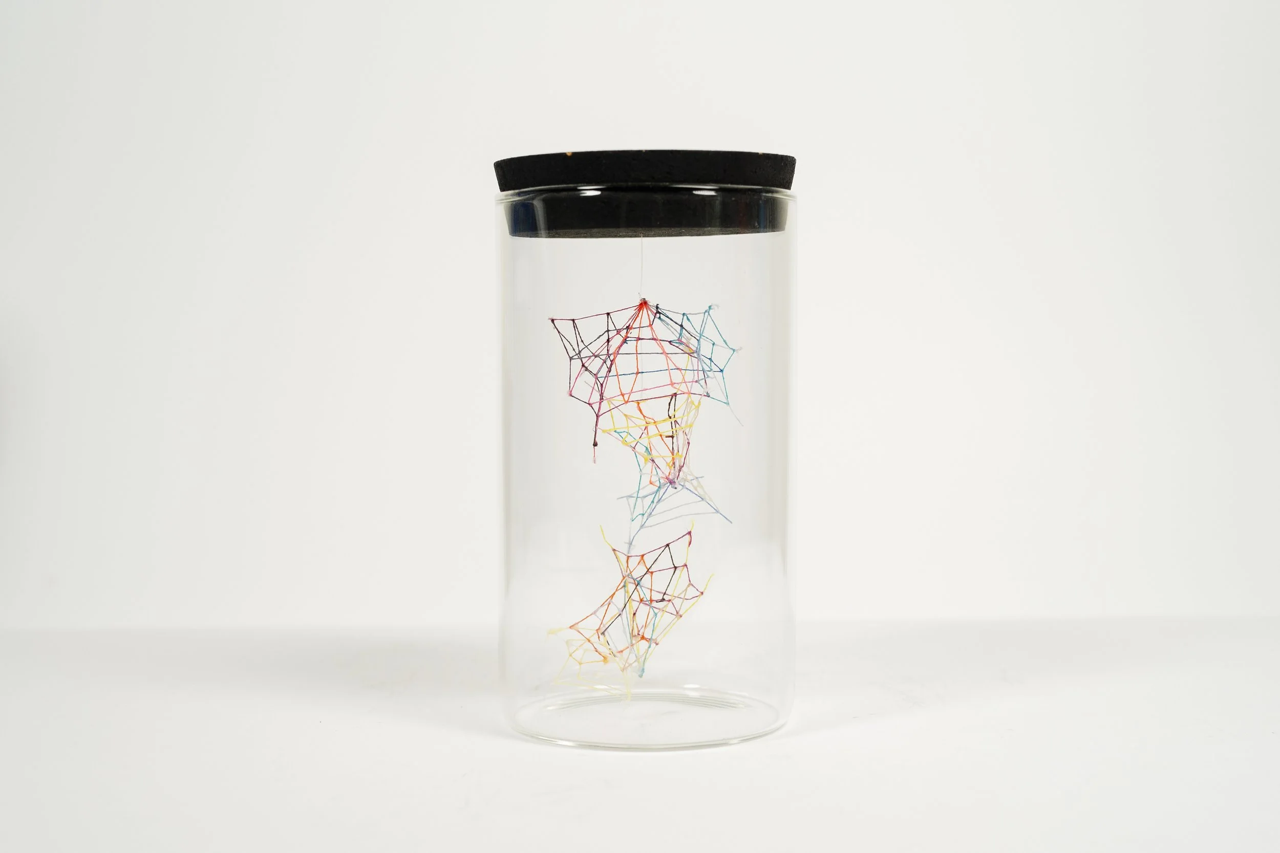 Specimen No. 1 • Embroidery floss, clear cord, corked glass jar • 3 x 3 x 8 in • 2021