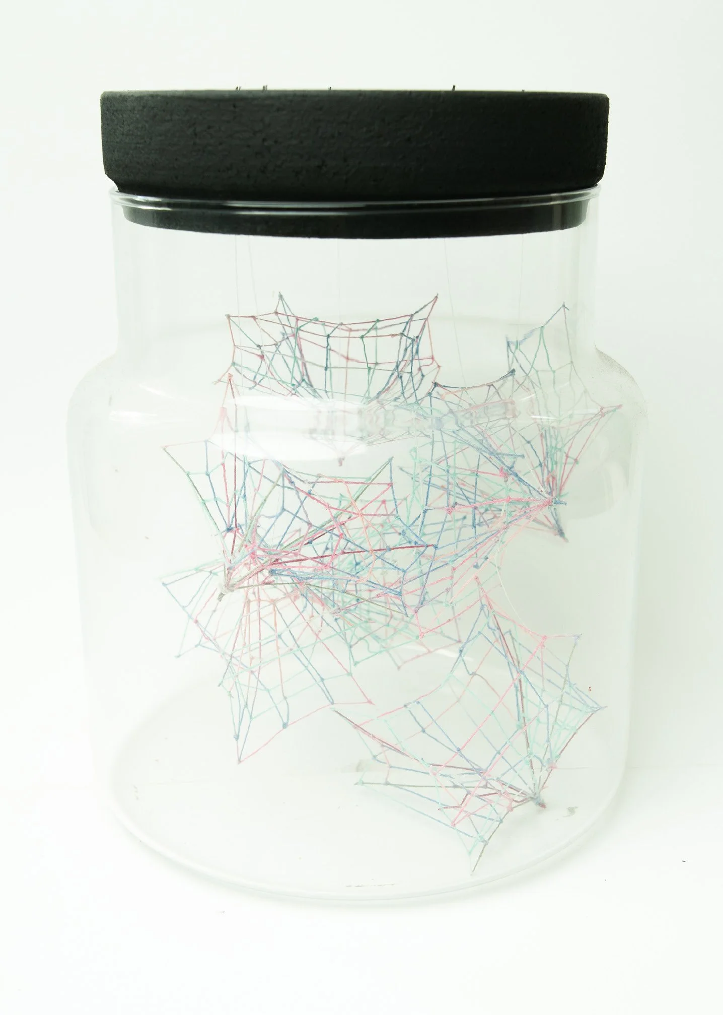 Specimens • Embroidery floss, clear cord, corked glass jar • 7 x 7 x 9 in • 2022