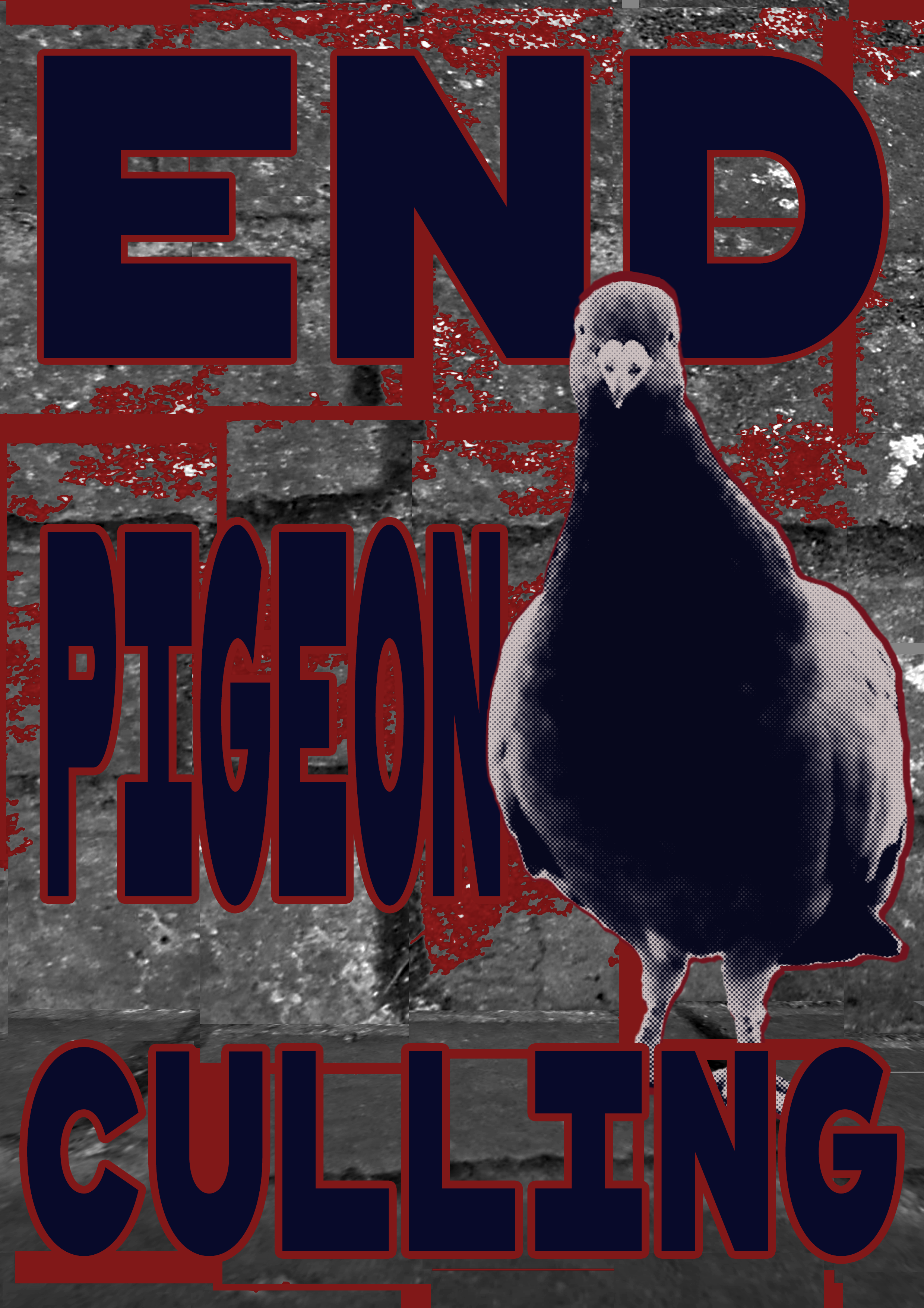 End Pigeon Culling.png