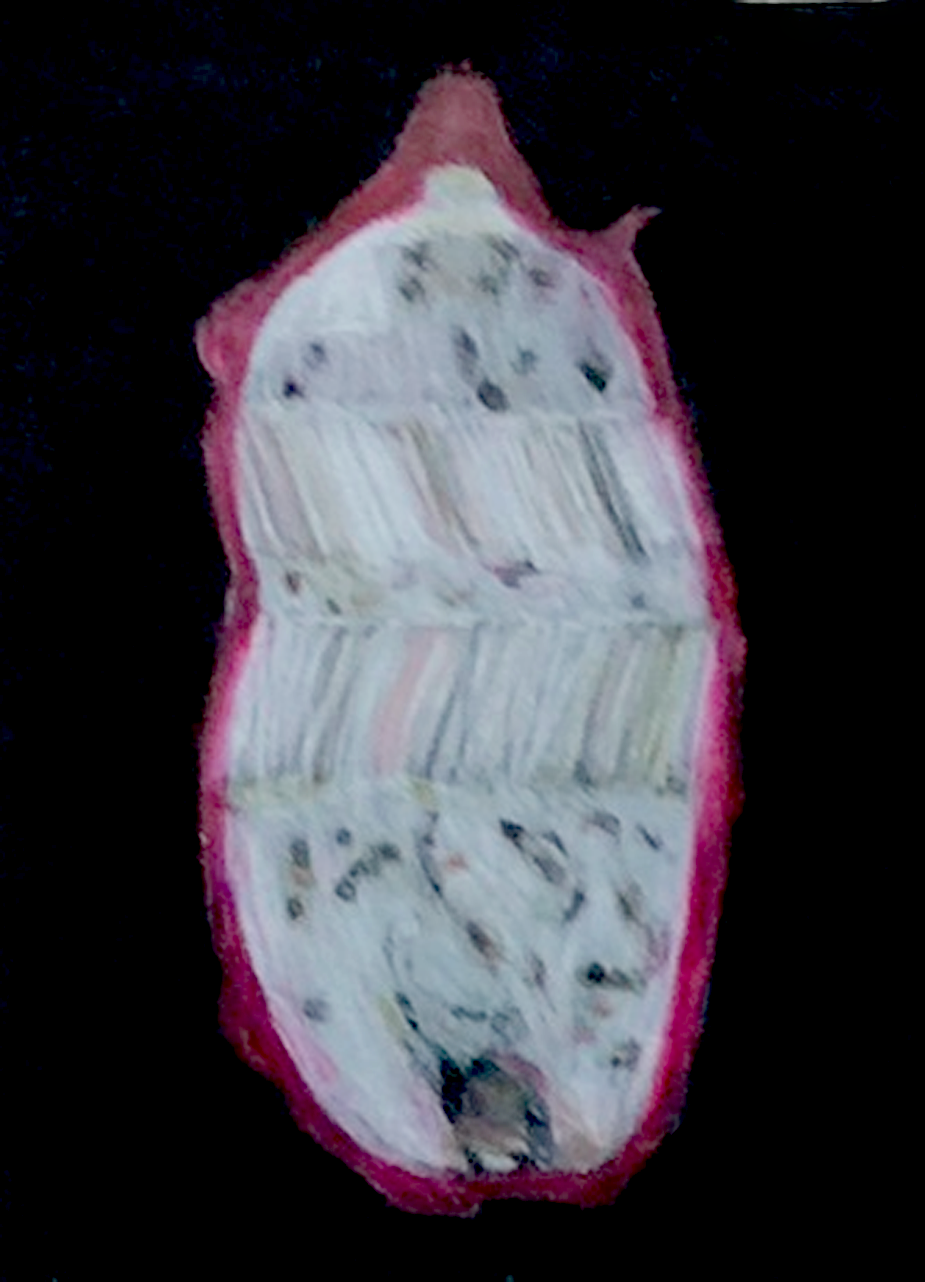 dragon fruit.png