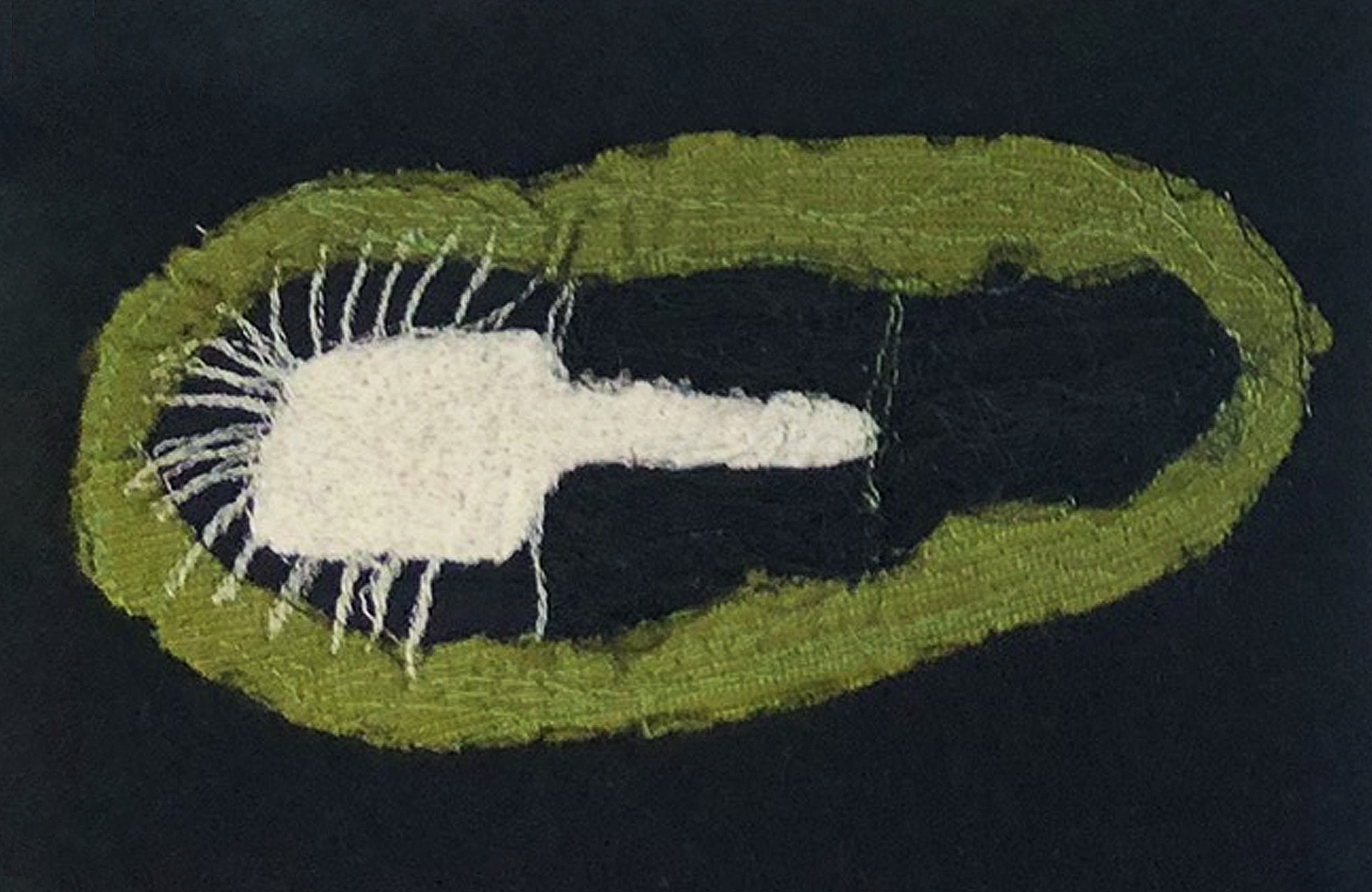 stretched kiwi.png