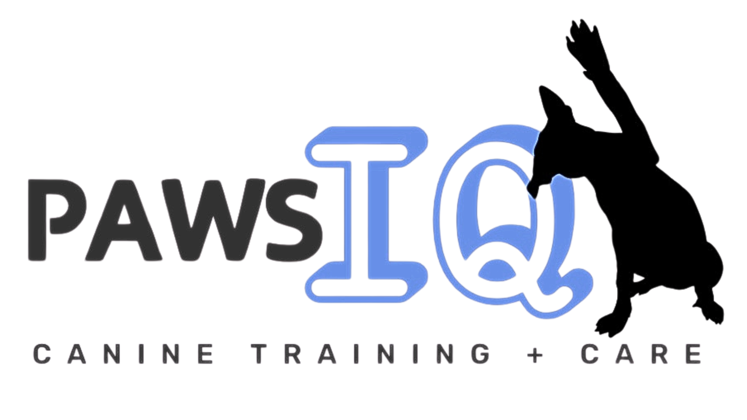Paws IQ