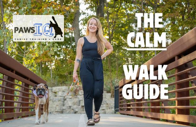 Paws IQ: The Calm Walk Guide