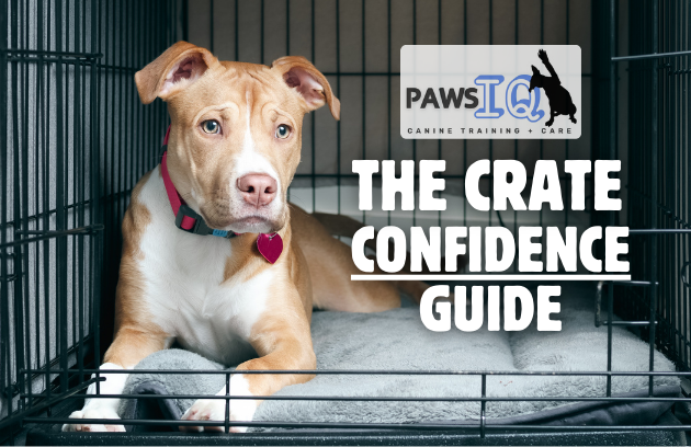 Paws IQ: The Crate Confidence Guide