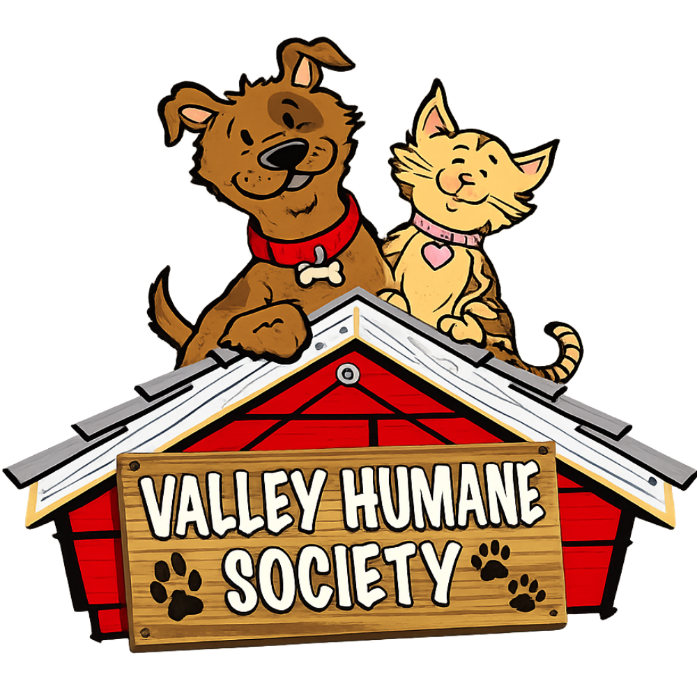 Our 2025 Trip To Valley humane Society 