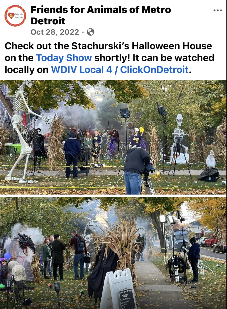 Halloween fundraiser to help raise money for our local animal shelter