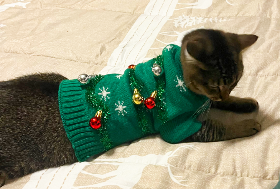 A tabby cat wearing a green Christmas sweater decorated with small white snowflakes and holiday-themed jewelry, lying on a beige and white quilt.