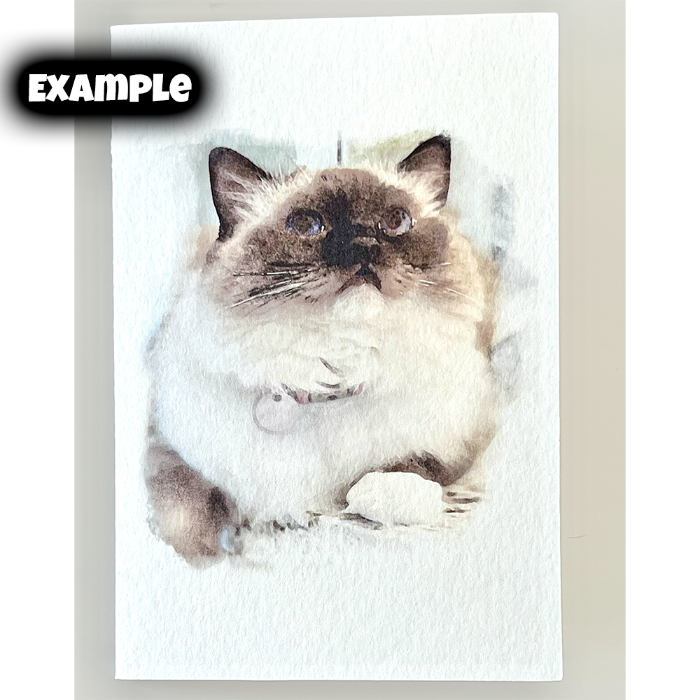 NotecardExampleMerch1.png