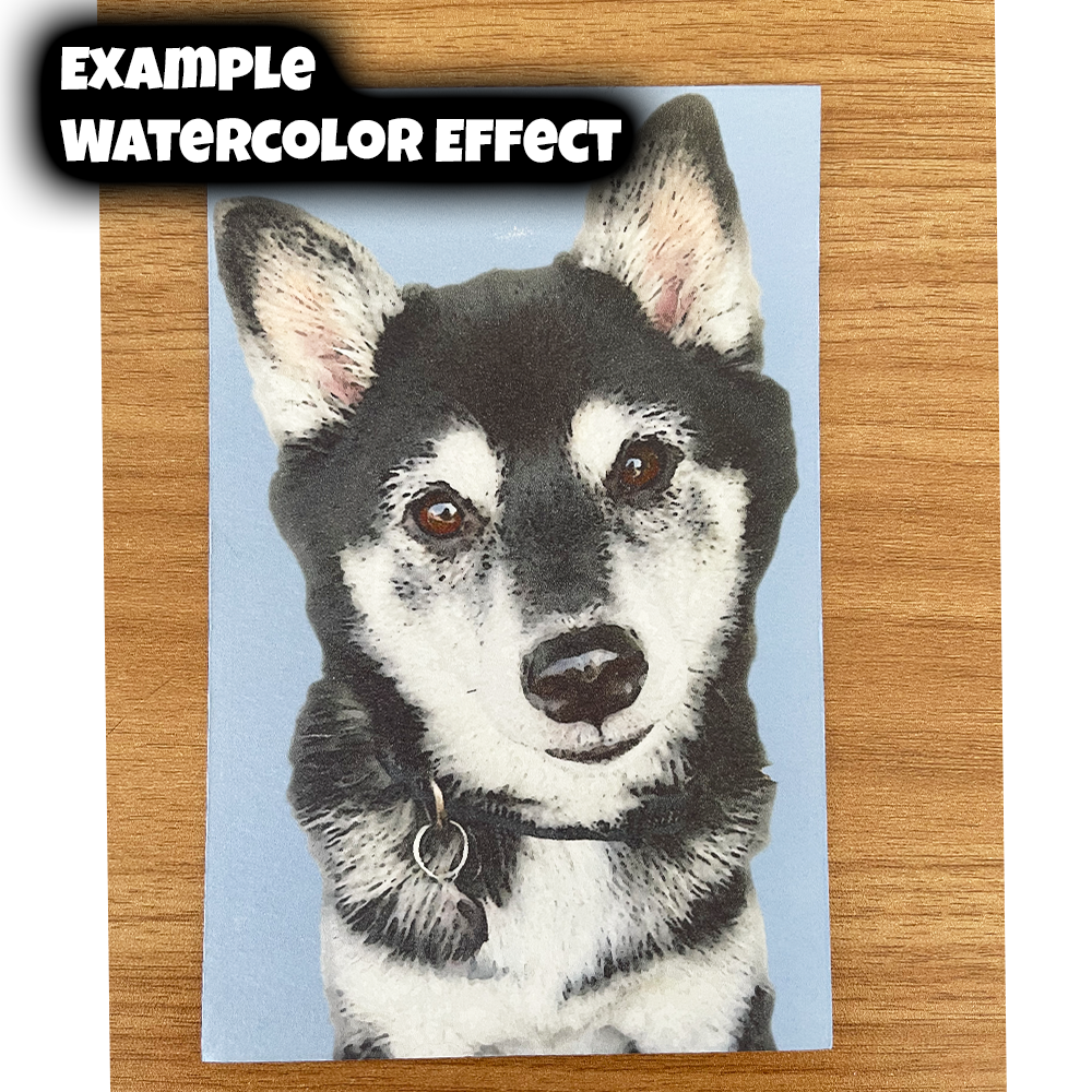 PostcardExampleMerch3.png