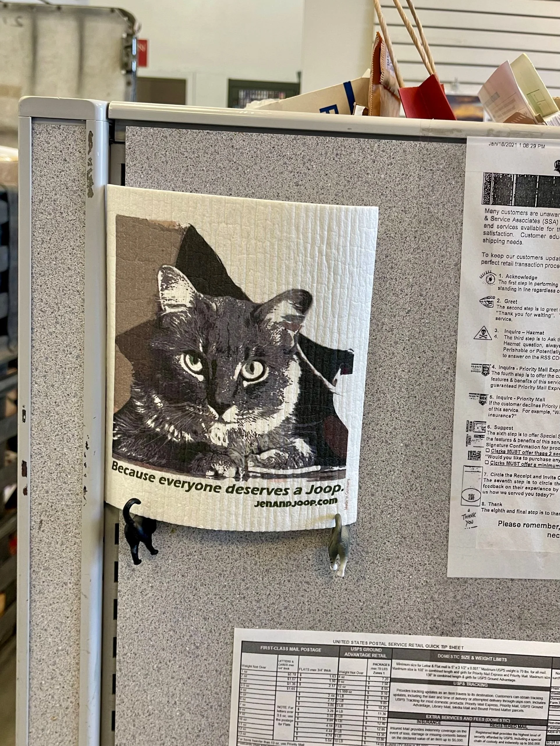 A corkboard with a picture of a black and white cat and a slogan that says 'Because everyone deserves a loop' from the website JenAndJooP.com. There are some papers and small hanging objects on the corkboard.