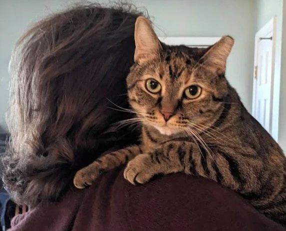A person with dark hair holding a tabby cat with distinctive striped fur and large yellow eyes, against a light-colored wall.