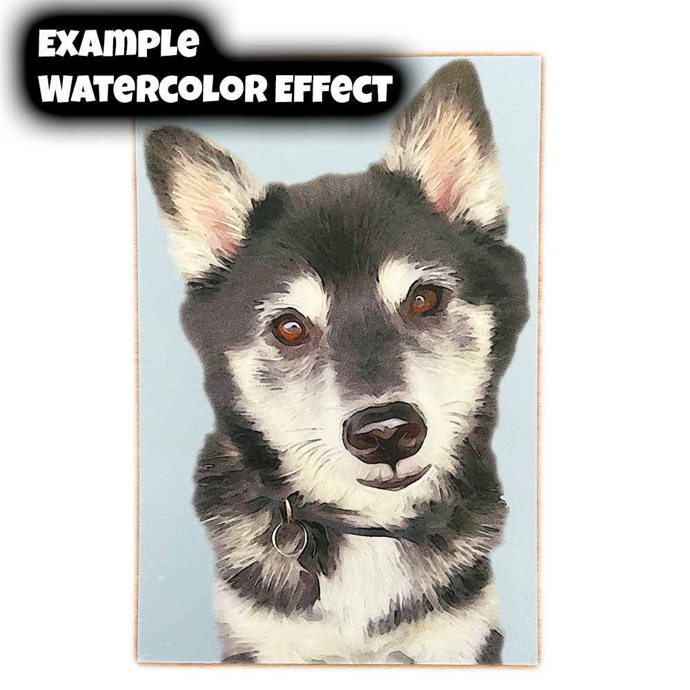 PostcardExampleMerch2.png