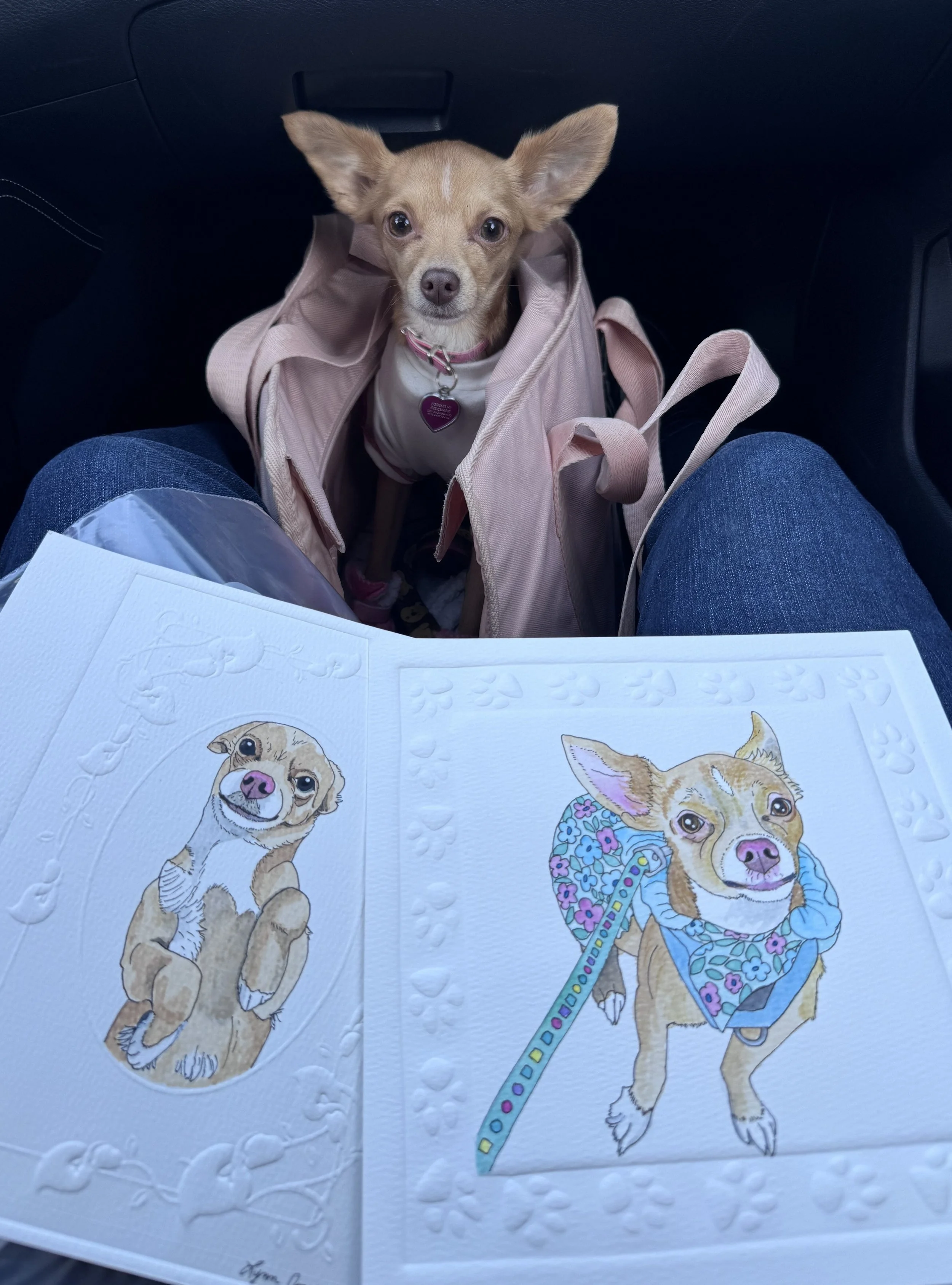 Photo of a small tan dog with large ears sitting inside an open beige backpack, looking up at the camera, with a drawn picture of a similar dog on a white paper in the foreground.