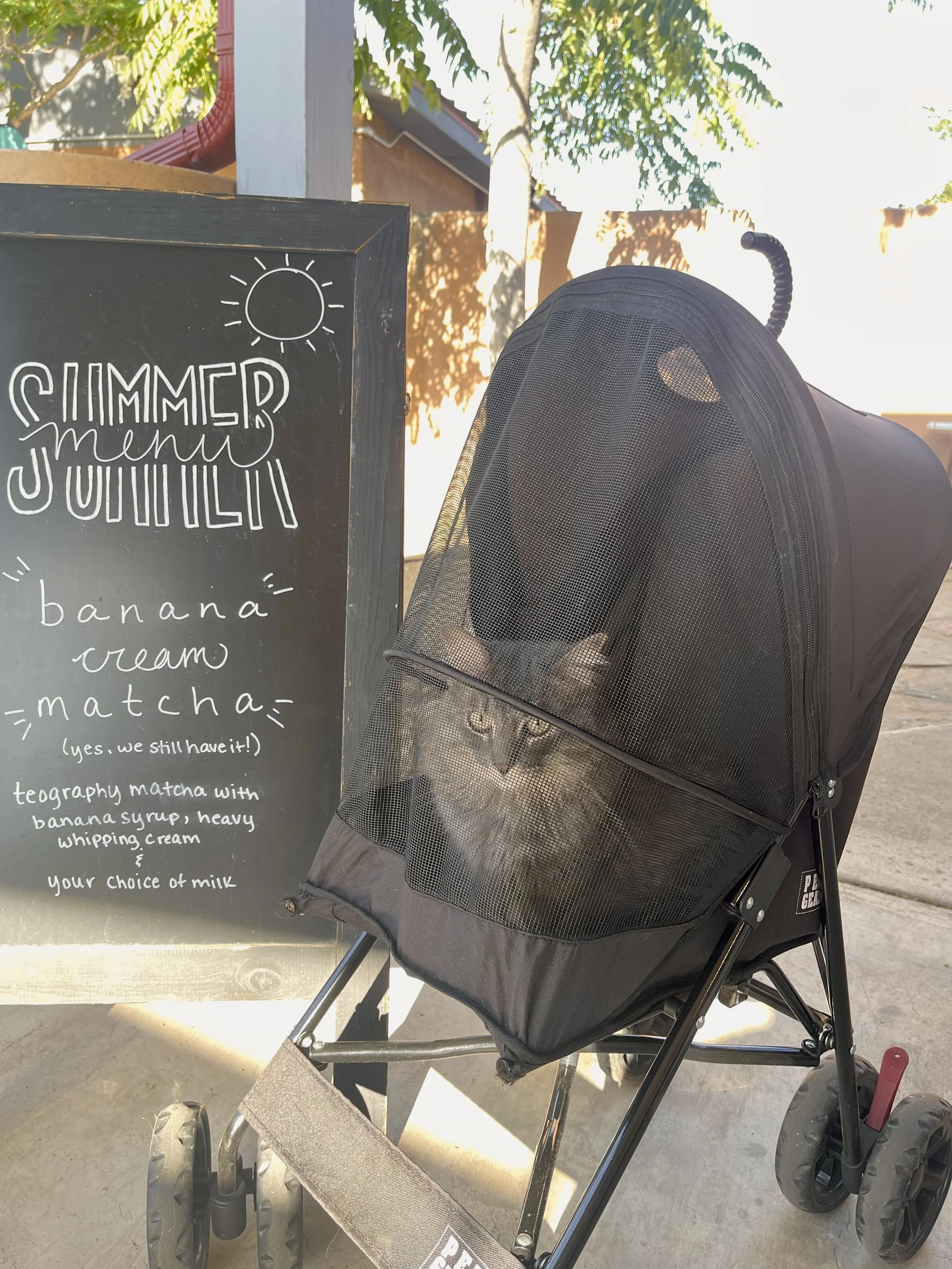 A black pet stroller with a cat inside, positioned next to a black chalkboard sign that reads "Summer menu" with banana, cream, and matcha ingredients listed, outdoors with trees and sunlight.