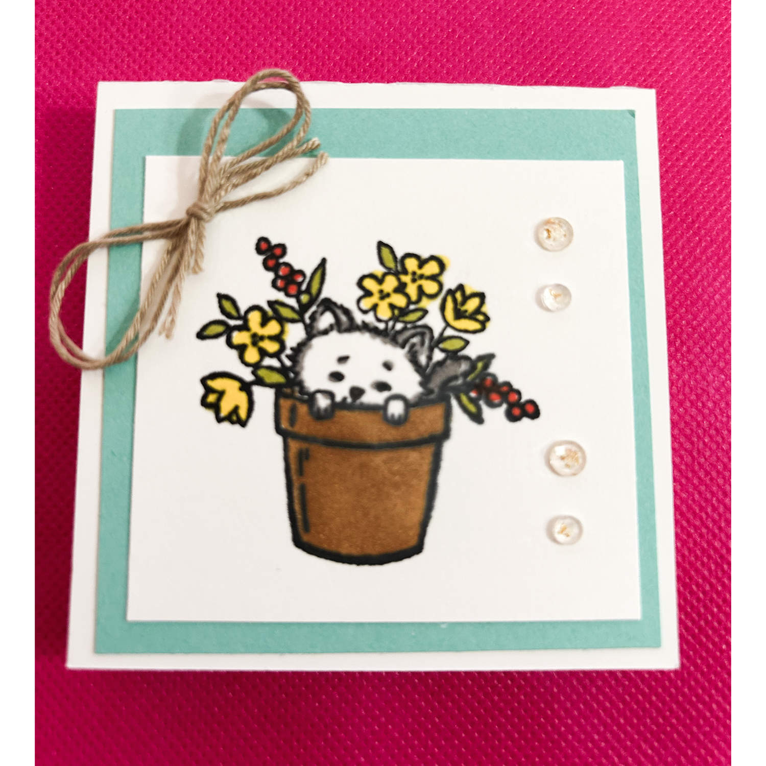 Laurie Moorehead Merch-postitkitty.png