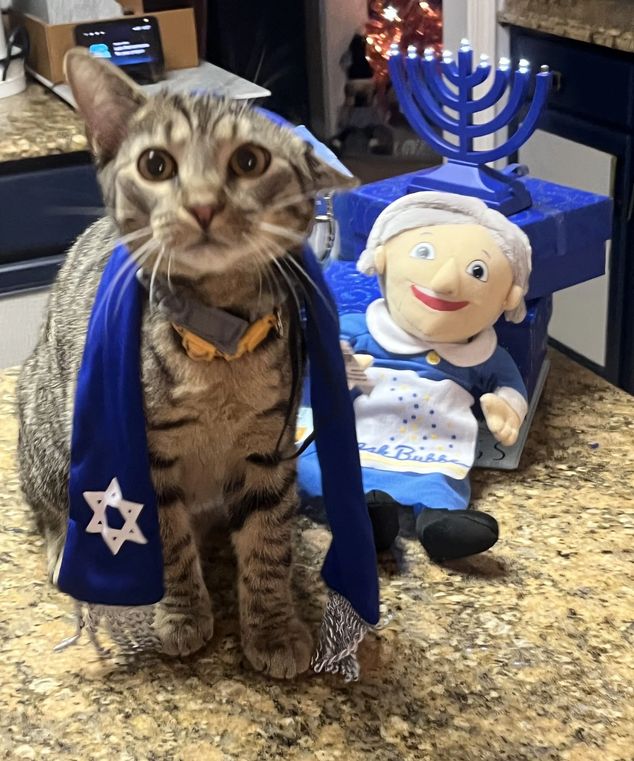 A cat wearing a blue satin-like cape with a Star of David emblem, sitting on a kitchen countertop. In the background, there is a Hanukkah menorah, a doll of an elderly woman, and a small Christmas tree with lights.