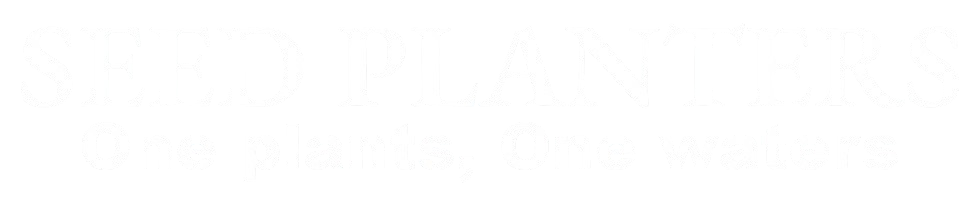 Somebody&#x27;s Nobody